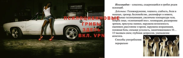 дживик Вяземский