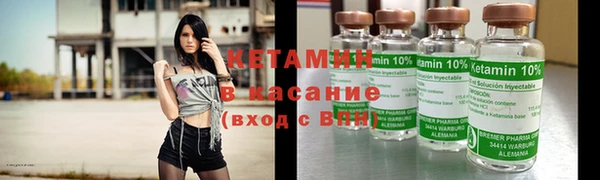сатива Волосово