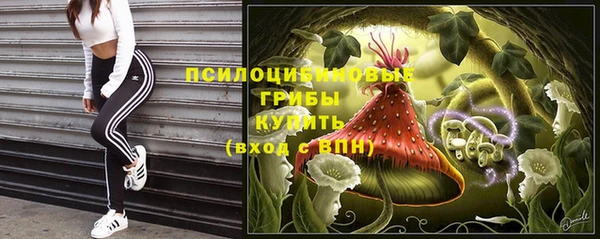 гашик Горно-Алтайск
