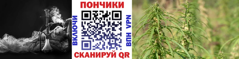 Каннабис гибрид Долинск